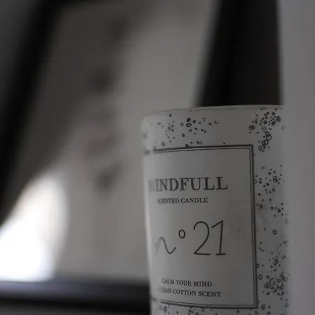 Renovated Penthouse In The Center Of *