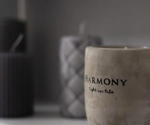 Apartment Renovated Penthouse In The Center Of *